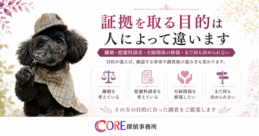 探偵姿のまめすけと、離婚、慰謝料請求、夫婦関係の修復、事実確認など、目的によって必要な浮気調査が変わることを示す図